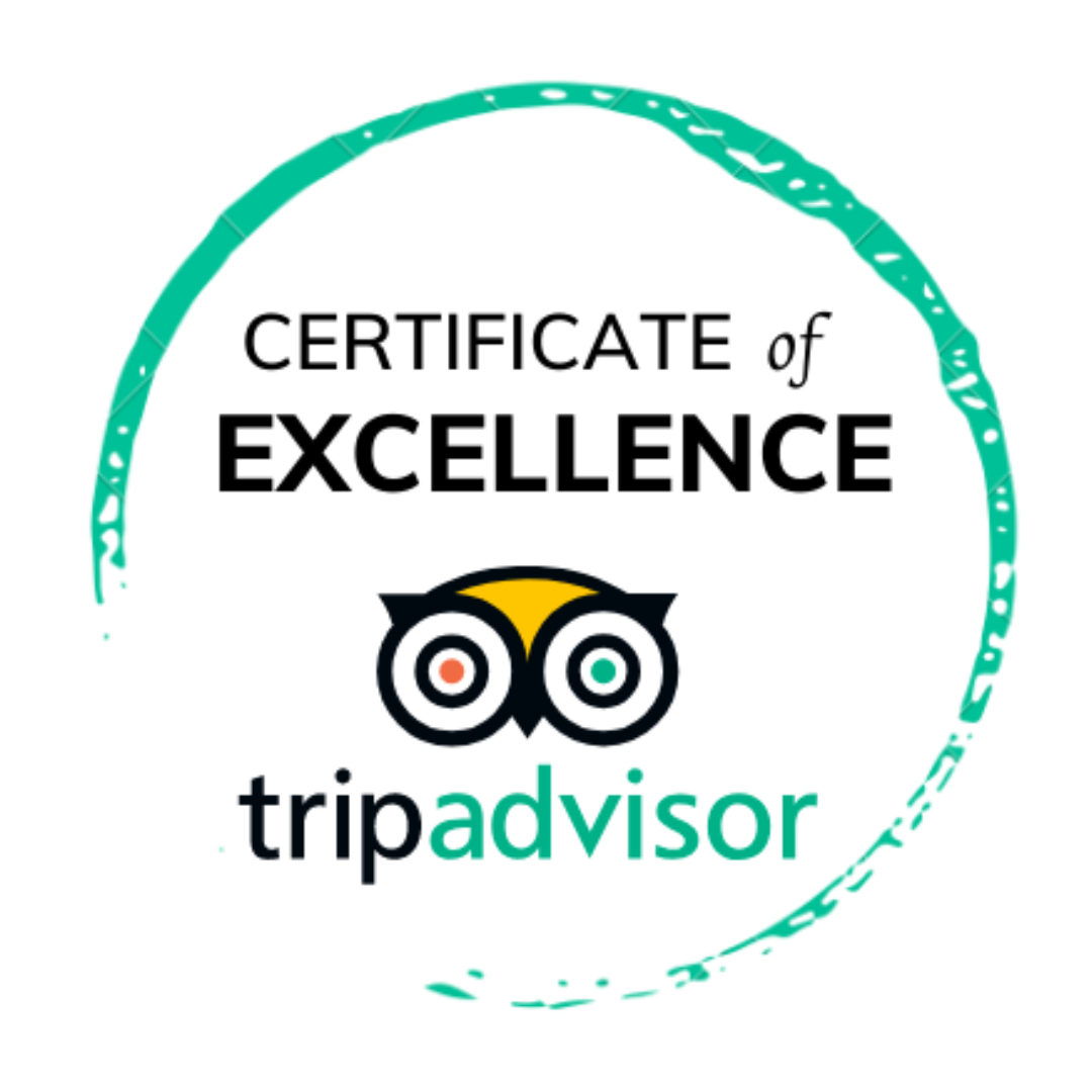 TripAdvisor Certificate