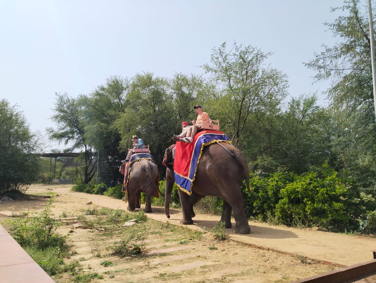 Same Day Taj Mahal Tour from Delhi